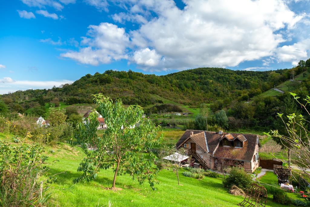 Country House "Stricev Grunt" Stara Kapela Guest House Phòng bức ảnh